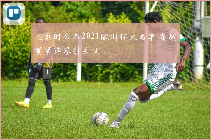 比利时公布2021欧洲杯大名单 备战赛事阵容引关注