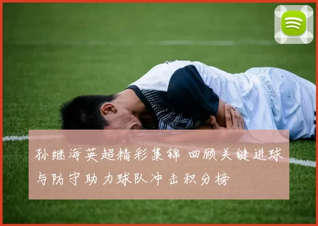 孙继海英超精彩集锦 回顾关键进球与防守助力球队冲击积分榜