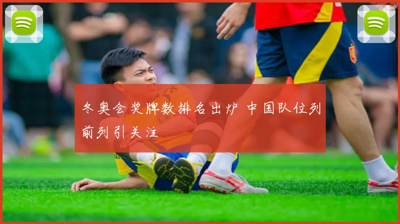 冬奥会奖牌数排名出炉 中国队位列前列引关注